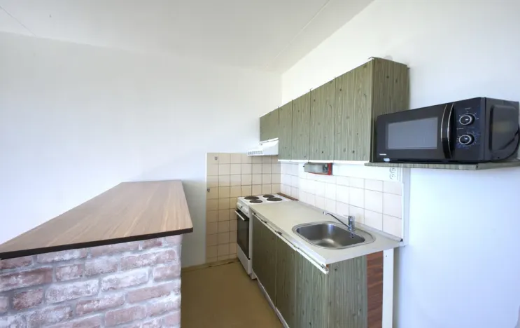 Prodej bytu 1+kk, Plzeň - Severní Předměstí, Hodonínská, 31 m2
