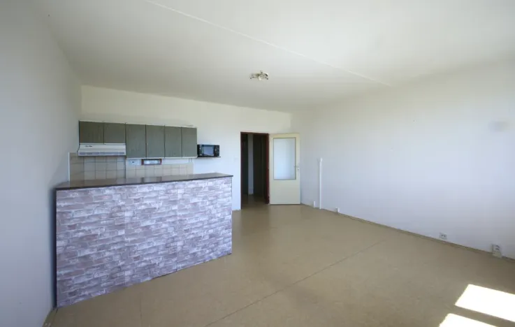 Prodej bytu 1+kk, Plzeň - Severní Předměstí, Hodonínská, 31 m2