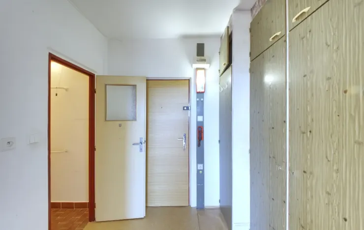 Prodej bytu 1+kk, Plzeň - Severní Předměstí, Hodonínská, 31 m2