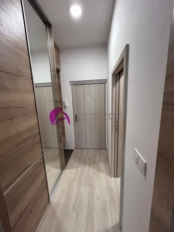 Pronájem bytu 1+kk, Olomouc, Wolkerova, 30 m2