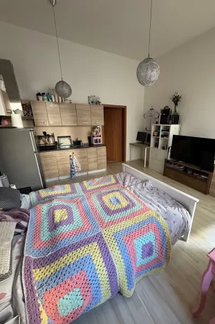 Pronájem bytu 1+kk, Olomouc, Wolkerova, 36 m2