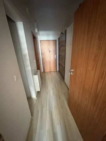 Pronájem bytu 1+kk, Olomouc, Wolkerova, 36 m2