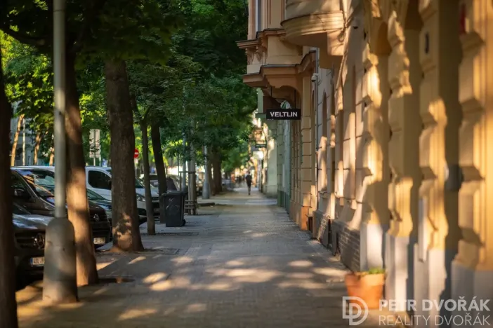 Prodej bytu 3+kk, Praha - Karlín, U invalidovny, 71 m2