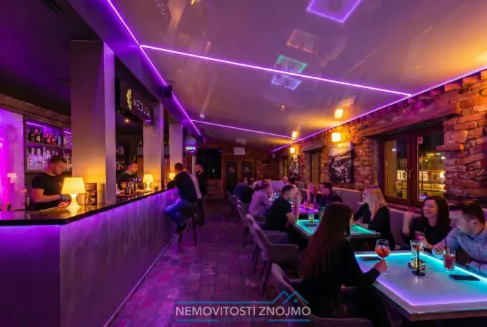 Prodej obchodního prostoru, Znojmo, Sokolská, 547 m2