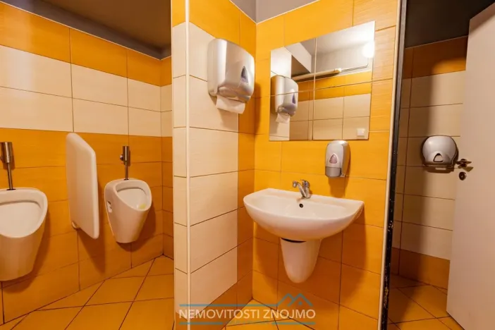 Prodej obchodního prostoru, Znojmo, Sokolská, 547 m2