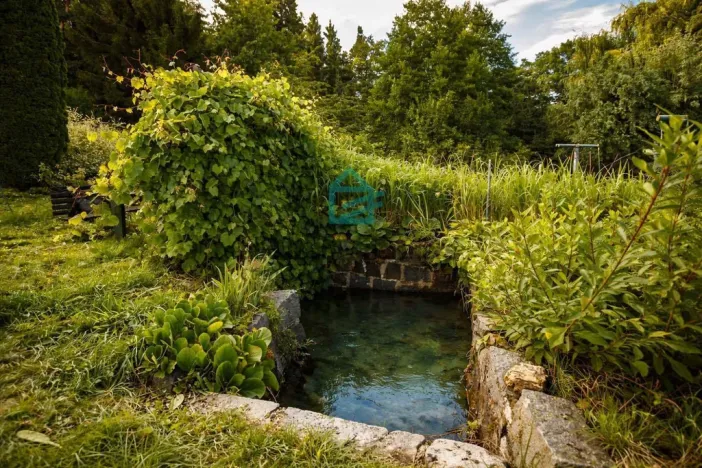 Prodej chaty, Netolice, Mírové Náměstí, 90 m2