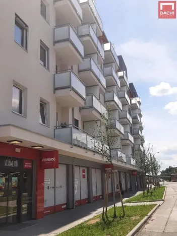 Pronájem bytu 1+kk, Olomouc, Wolkerova, 25 m2