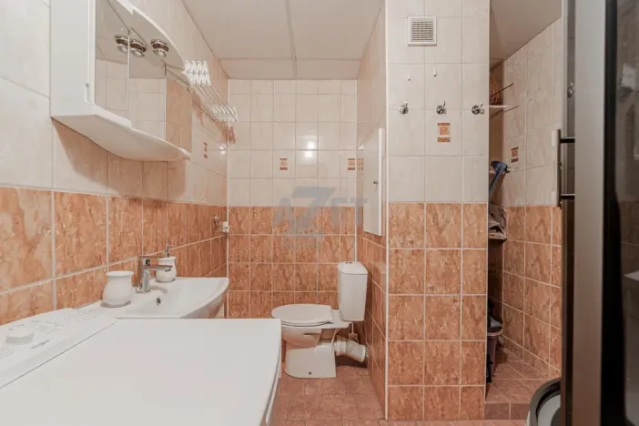 Prodej bytu 1+1, Karviná - Hranice, Slovenská, 39 m2