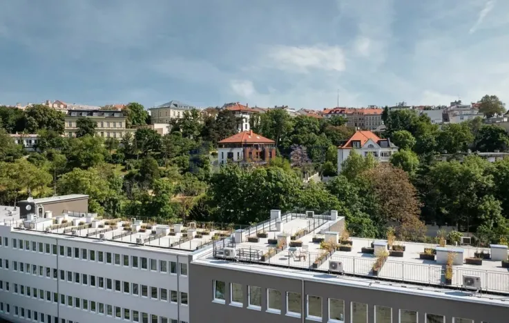 Pronájem bytu 2+kk, Praha, Perucká, 37 m2