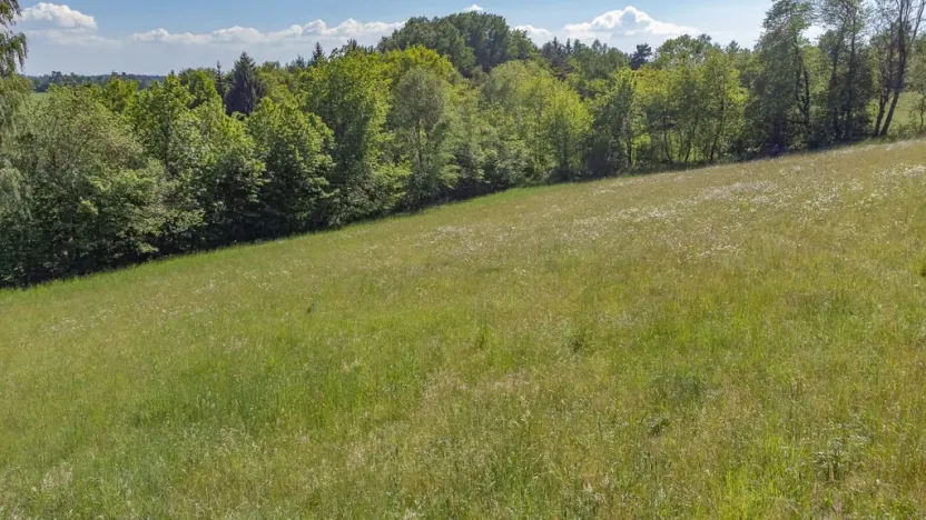 Prodej pozemku pro bydlení, Sušice - Záluží, 3500 m2