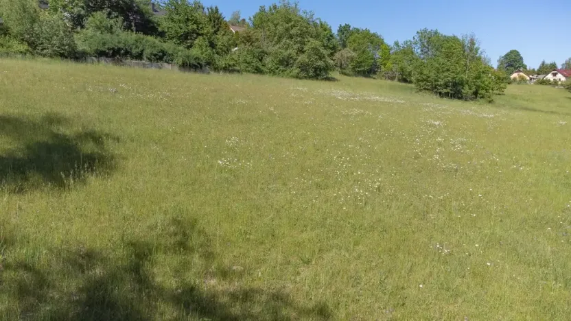 Prodej pozemku pro bydlení, Sušice - Záluží, 3500 m2