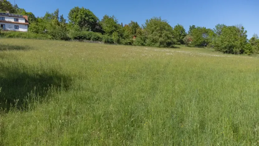 Prodej pozemku pro bydlení, Sušice - Záluží, 2272 m2