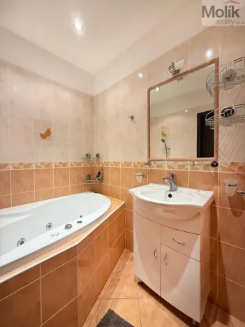 Pronájem bytu 2+1, Most, Zdeňka Štěpánka, 50 m2