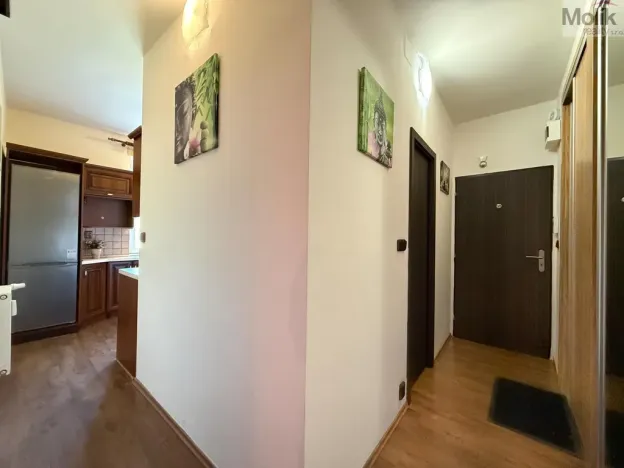 Pronájem bytu 2+1, Most, Zdeňka Štěpánka, 50 m2