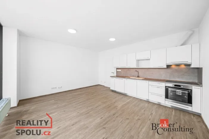 Pronájem bytu 1+kk, Plzeň - Jižní Předměstí, Železná, 42 m2
