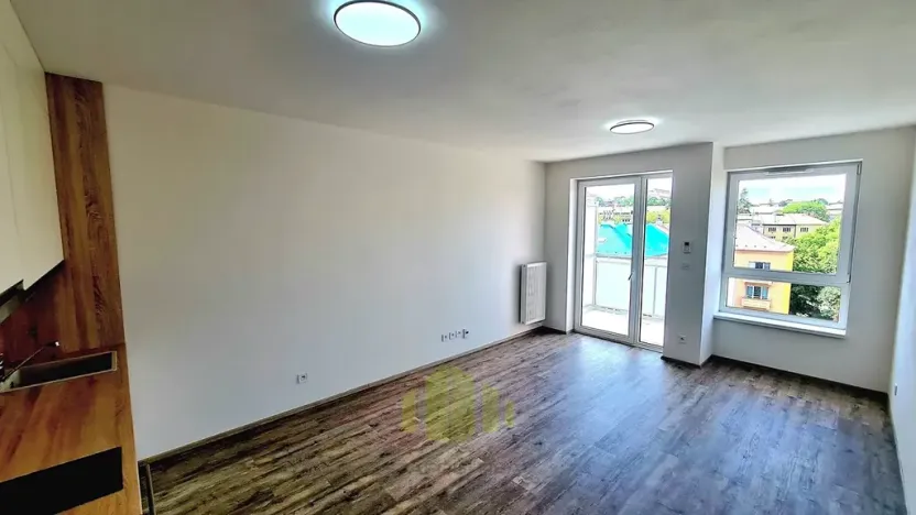 Pronájem bytu 1+kk, Olomouc, Wolkerova, 34 m2