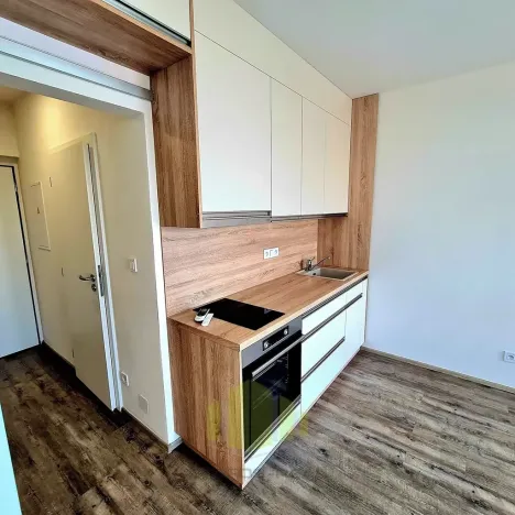 Pronájem bytu 1+kk, Olomouc, Wolkerova, 34 m2
