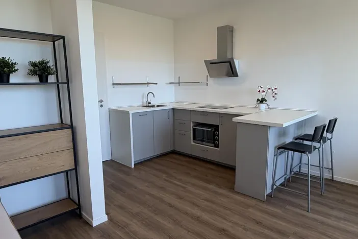 Pronájem bytu 1+kk, Praha - Černý Most, Arnošta Valenty, 38 m2