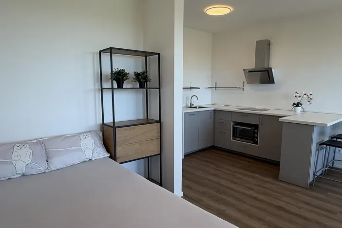 Pronájem bytu 1+kk, Praha - Černý Most, Arnošta Valenty, 38 m2