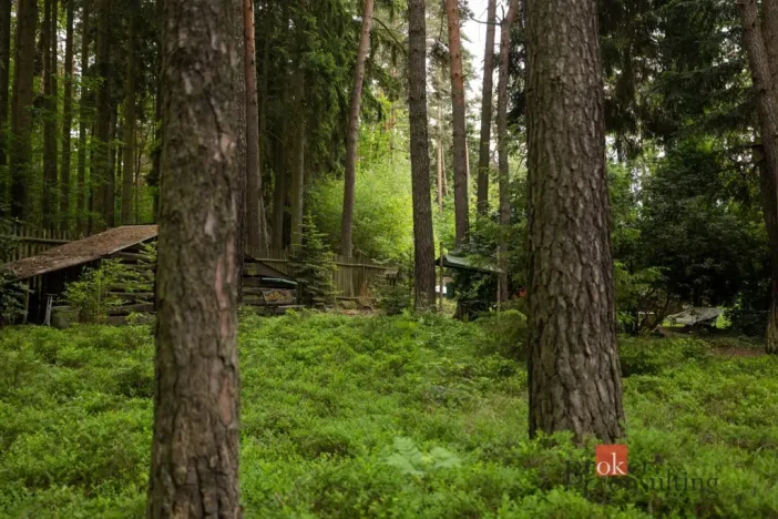 Prodej pozemku pro bydlení, Letkov, 1366 m2