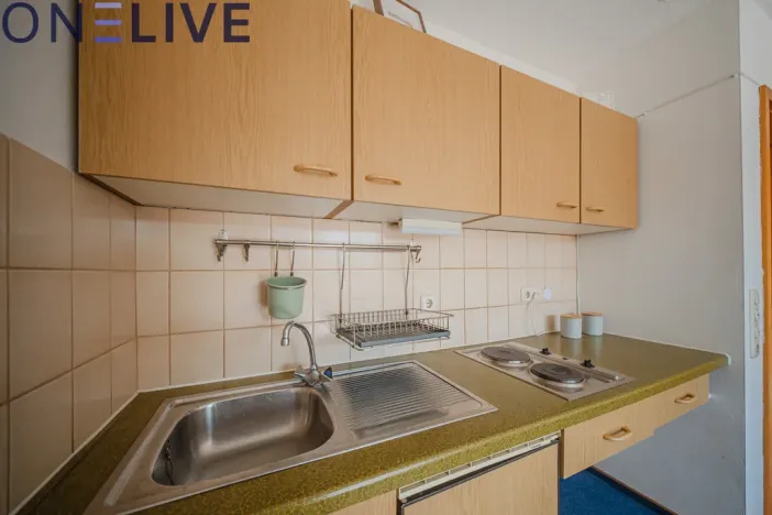 Prodej bytu 1+kk, Železná Ruda - Alžbětín, Německo, 25 m2
