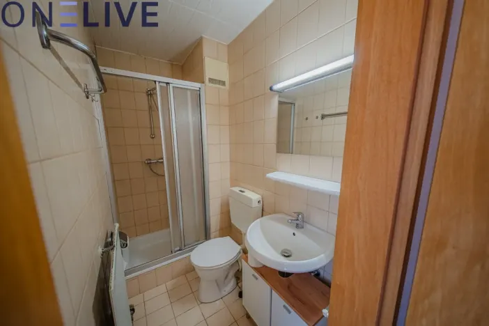 Prodej bytu 1+kk, Železná Ruda - Alžbětín, Německo, 25 m2