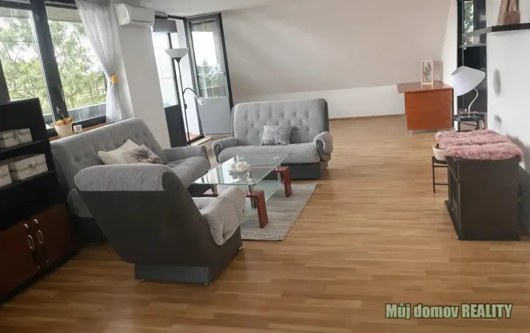Pronájem bytu 3+1, Praha - Hodkovičky, Údolní, 115 m2