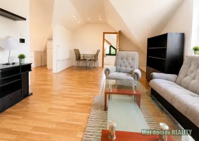 Pronájem bytu 3+1, Praha - Hodkovičky, Údolní, 115 m2