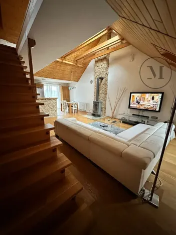 Pronájem bytu 3+kk, České Budějovice, Branišovská, 140 m2