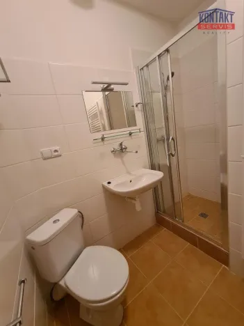 Pronájem bytu 2+kk, České Budějovice - České Budějovice 6, 33 m2