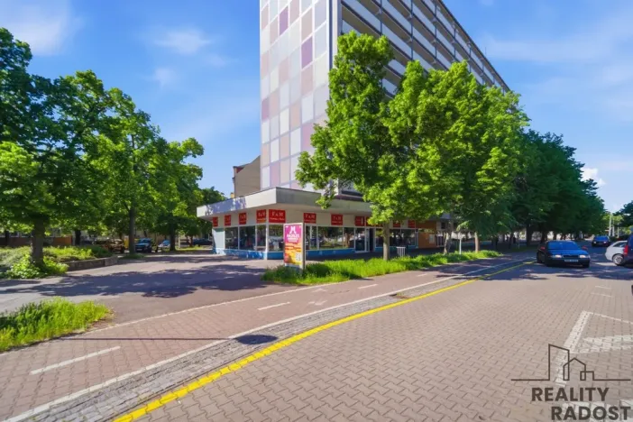 Prodej bytu 2+1, Pardubice - Zelené Předměstí, Palackého třída, 69 m2