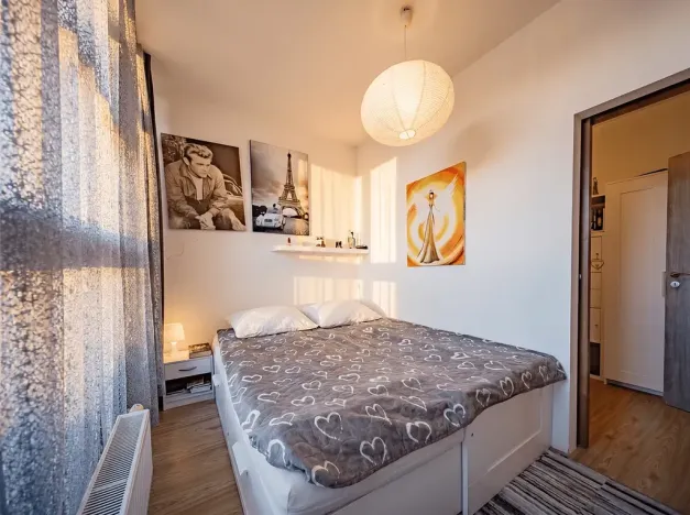 Prodej bytu 2+kk, Plzeň, Mutěnická, 55 m2