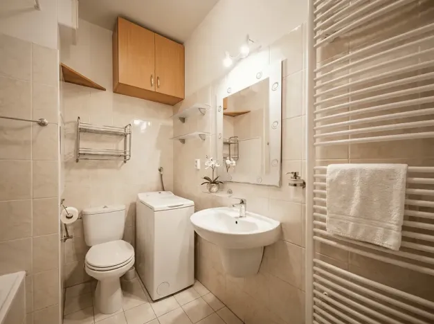 Prodej bytu 2+kk, Plzeň, Mutěnická, 55 m2