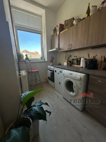 Pronájem bytu 1+kk, Opava - Předměstí, Olbrichova, 30 m2