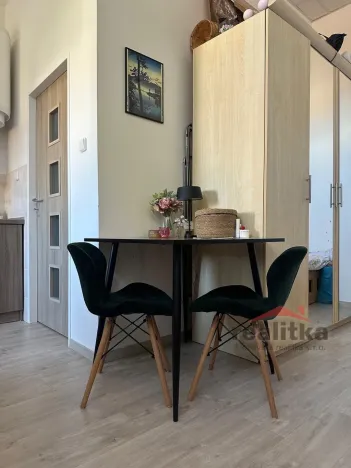 Pronájem bytu 1+kk, Opava - Předměstí, Olbrichova, 30 m2