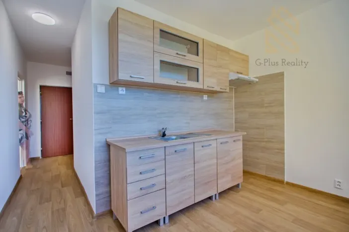 Prodej bytu 2+1, Chomutov, Holešická, 62 m2