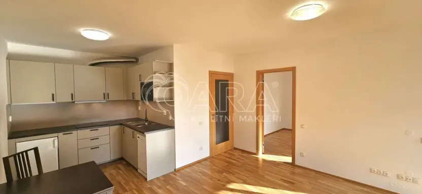Pronájem bytu 2+kk, Praha - Žižkov, Olgy Havlové, 50 m2