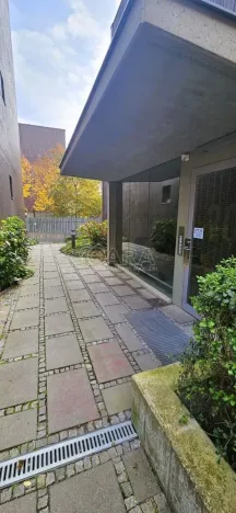 Pronájem bytu 2+kk, Praha - Žižkov, Olgy Havlové, 50 m2