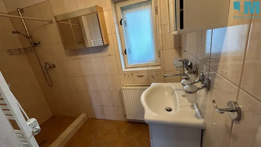 Pronájem rodinného domu, Okříšky, Nádražní, 90 m2