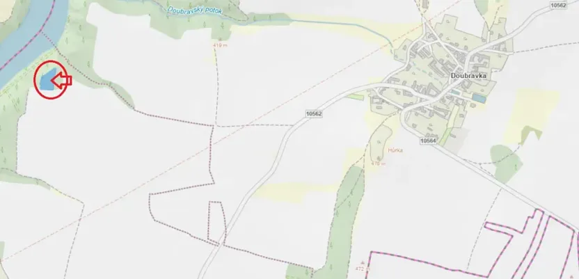 Prodej lesa, Chrášťany, 3640 m2