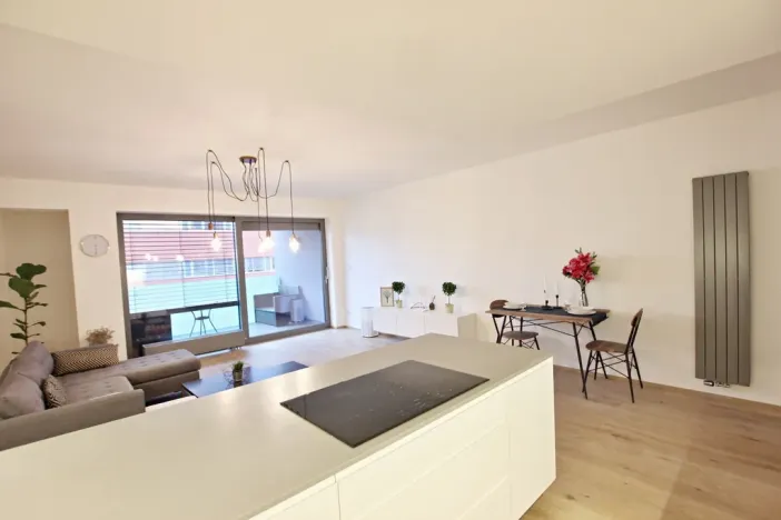 Prodej bytu 3+kk, Brno - Staré Brno, Anenská, 105 m2