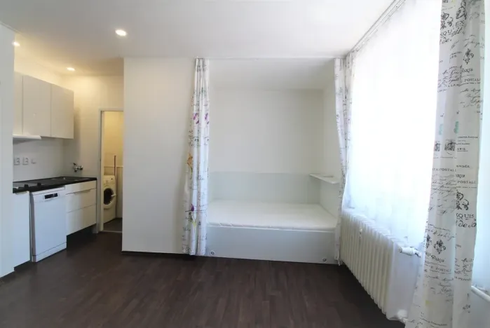 Pronájem bytu 1+kk, Plzeň - Východní Předměstí, Slovanská, 27 m2