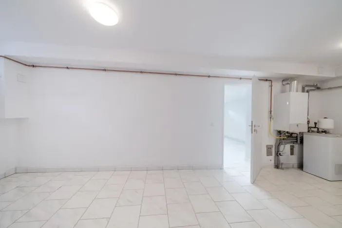 Prodej rodinného domu, Týnec nad Labem - Vinařice, 384 m2
