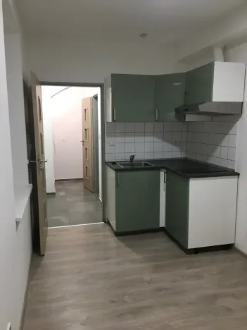 Pronájem bytu 1+kk, Brno, Křenová, 20 m2