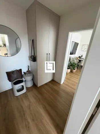 Pronájem bytu 2+kk, Olomouc, Aloise Rašína, 50 m2