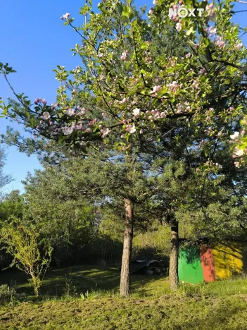 Prodej zahrady, Vrchlabí, 485 m2
