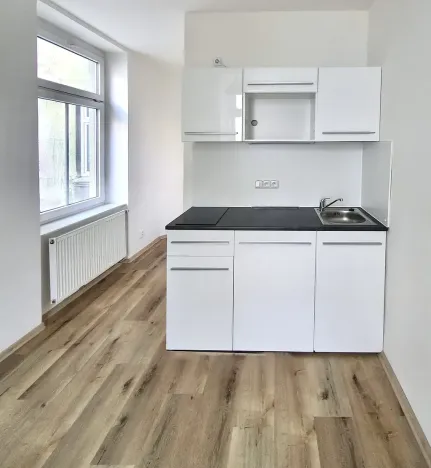 Pronájem bytu 1+kk, Brno, Körnerova, 15 m2