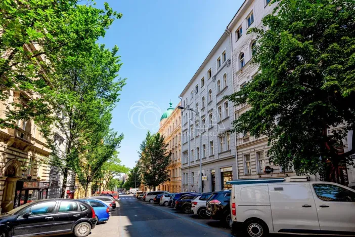 Prodej bytu 2+kk, Praha - Vinohrady, Šumavská, 60 m2