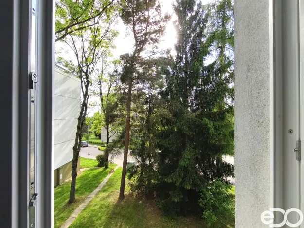 Pronájem bytu 3+kk, Nové Město nad Metují, Malecí, 57 m2