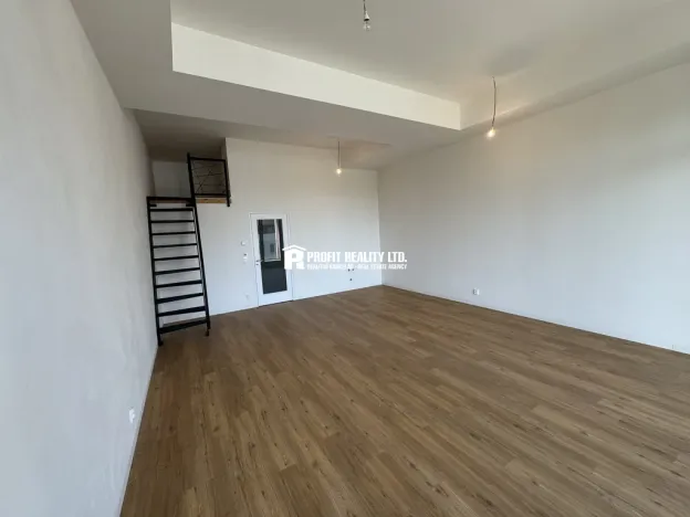 Pronájem bytu 1+kk, Praha - Žižkov, Malešická, 50 m2
